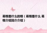 葛根是什么的根（葛根是什么 葛根介紹簡介介紹）