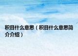 積目什么意思（積目什么意思簡(jiǎn)介介紹）