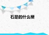 石是的什么梗