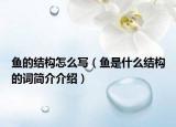 魚的結(jié)構(gòu)怎么寫（魚是什么結(jié)構(gòu)的詞簡(jiǎn)介介紹）