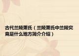 古代蘭陵蕭氏（蘭陵蕭氏中蘭陵究竟是什么地方簡(jiǎn)介介紹）