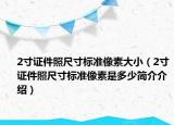 2寸證件照尺寸標(biāo)準(zhǔn)像素大?。?寸證件照尺寸標(biāo)準(zhǔn)像素是多少簡(jiǎn)介介紹）