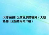 大地色是什么顏色,具體圖片（大地色是什么顏色簡(jiǎn)介介紹）