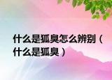 什么是狐臭怎么辨別（什么是狐臭）