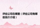 評(píng)估公司在哪里（評(píng)估公司有哪些簡(jiǎn)介介紹）