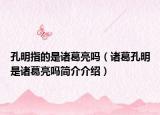 孔明指的是諸葛亮嗎（諸葛孔明是諸葛亮嗎簡介介紹）
