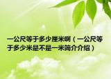 一公尺等于多少厘米?。ㄒ还叩扔诙嗌倜资遣皇且幻缀喗榻榻B）