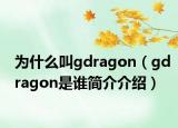 為什么叫g(shù)dragon（gdragon是誰簡介介紹）