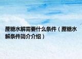 蔗糖水解需要什么條件（蔗糖水解條件簡(jiǎn)介介紹）