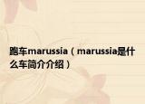 跑車marussia（marussia是什么車簡介介紹）