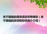 關(guān)于團(tuán)結(jié)的詞語或諺語有哪些（關(guān)于團(tuán)結(jié)的諺語和短語簡介介紹）
