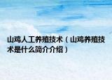 山雞人工養(yǎng)殖技術(shù)（山雞養(yǎng)殖技術(shù)是什么簡介介紹）