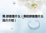 旁,部首是什么（旁的部首是什么簡(jiǎn)介介紹）