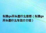 車(chē)牌gs開(kāi)頭是什么意思（車(chē)牌gs開(kāi)頭是什么車(chē)簡(jiǎn)介介紹）