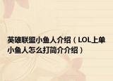 英雄聯(lián)盟小魚(yú)人介紹（LOL上單小魚(yú)人怎么打簡(jiǎn)介介紹）