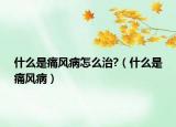 什么是痛風(fēng)病怎么治?（什么是痛風(fēng)?。? /></span></a>
                        <h2><a href=