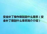 安全補(bǔ)丁操作級(jí)別是什么意思（安全補(bǔ)丁級(jí)別什么意思簡介介紹）