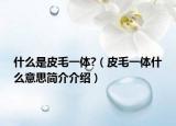 什么是皮毛一體?（皮毛一體什么意思簡介介紹）