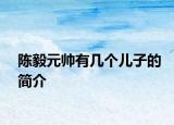 陳毅元帥有幾個(gè)兒子的簡介