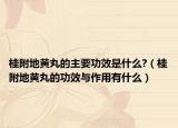 桂附地黃丸的主要功效是什么?（桂附地黃丸的功效與作用有什么）