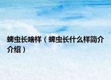 蜱蟲(chóng)長(zhǎng)啥樣（蜱蟲(chóng)長(zhǎng)什么樣簡(jiǎn)介介紹）