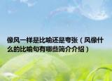 像風(fēng)一樣是比喻還是夸張（風(fēng)像什么的比喻句有哪些簡(jiǎn)介介紹）