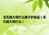 毛孔粗大用什么牌子護膚品（毛孔粗大用什么）
