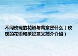 不同玫瑰的花語與寓意是什么（玫瑰的花語和象征意義簡介介紹）