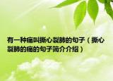 有一種痛叫撕心裂肺的句子（撕心裂肺的痛的句子簡(jiǎn)介介紹）