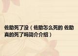 佐助死了沒(méi)（佐助怎么死的 佐助真的死了嗎簡(jiǎn)介介紹）