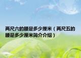 兩尺六的腰是多少厘米（兩尺五的腰是多少厘米簡介介紹）