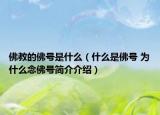 佛教的佛號是什么（什么是佛號 為什么念佛號簡介介紹）