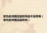 紫色的洋槐花能吃嗎是不是有毒（紫色的洋槐花能吃嗎）
