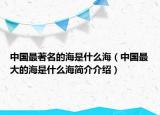 中國(guó)最著名的海是什么海（中國(guó)最大的海是什么海簡(jiǎn)介介紹）