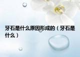 牙石是什么原因形成的（牙石是什么）