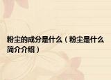 粉塵的成分是什么（粉塵是什么簡介介紹）