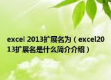 excel 2013擴展名為（excel2013擴展名是什么簡介介紹）