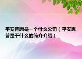 平安普惠是一個(gè)什么公司（平安惠普是干什么的簡介介紹）
