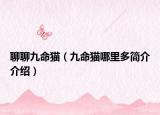 聊聊九命貓（九命貓哪里多簡介介紹）