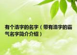 有個(gè)浩字的名字（帶有浩字的霸氣名字簡介介紹）