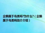 企鵝屬于鳥(niǎo)類嗎?為什么?（企鵝屬于鳥(niǎo)類嗎簡(jiǎn)介介紹）