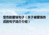受傷的愛情句子（關(guān)于被愛情傷透的句子簡(jiǎn)介介紹）
