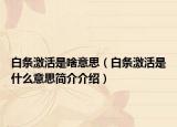 白條激活是啥意思（白條激活是什么意思簡(jiǎn)介介紹）