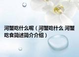 河蟹吃什么呢（河蟹吃什么 河蟹吃食簡(jiǎn)述簡(jiǎn)介介紹）