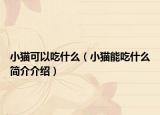 小貓可以吃什么（小貓能吃什么簡介介紹）