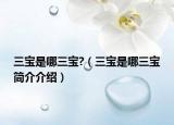 三寶是哪三寶?（三寶是哪三寶簡(jiǎn)介介紹）