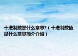 十進(jìn)制數(shù)是什么意思?（十進(jìn)制數(shù)值是什么意思簡(jiǎn)介介紹）