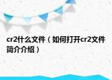 cr2什么文件（如何打開cr2文件簡(jiǎn)介介紹）