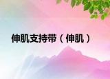 伸肌支持帶（伸?。? /></span></a>
                        <h2><a href=