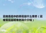 藍瘦香菇中的香菇是什么意思（藍瘦香菇是啥意思簡介介紹）